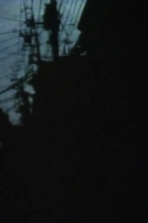 Incorrect Intermittence poster