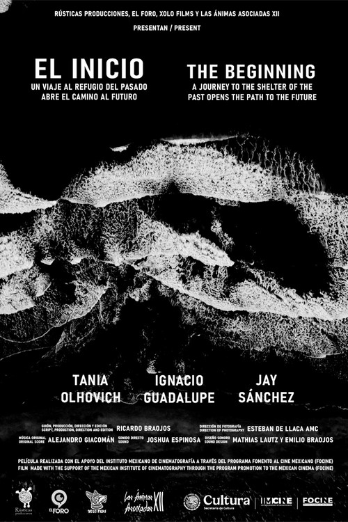 The Beginning poster