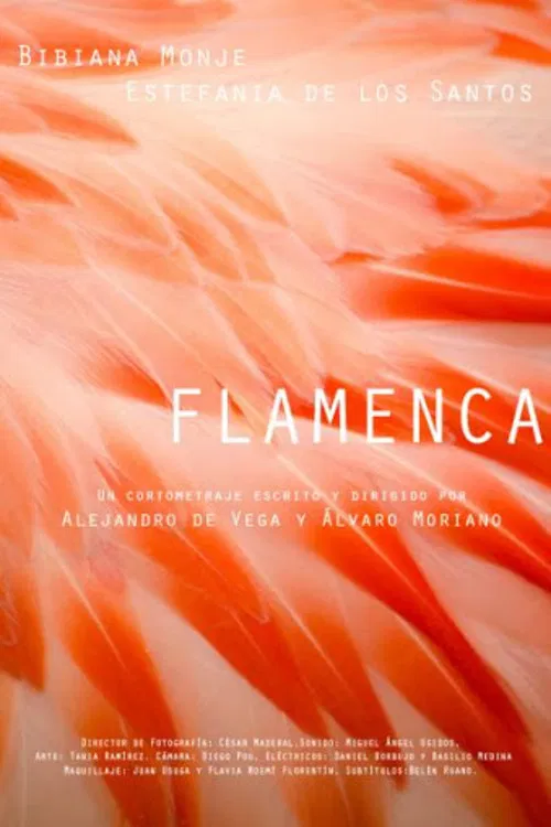 Flamenca poster