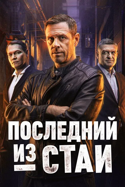 Последний из стаи poster