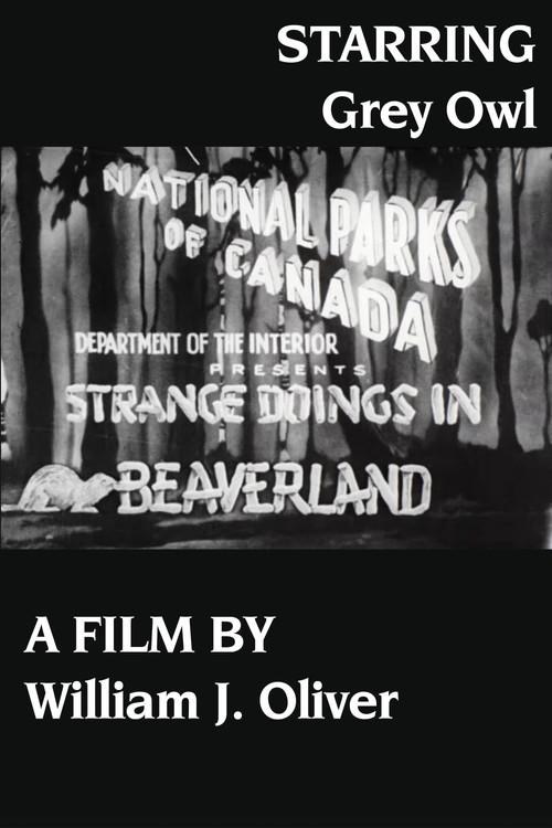 Strange Doings in Beaverland poster