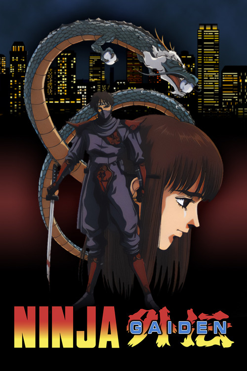 Ninja Gaiden poster