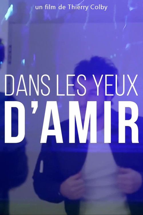 Dans les yeux d'Amir poster