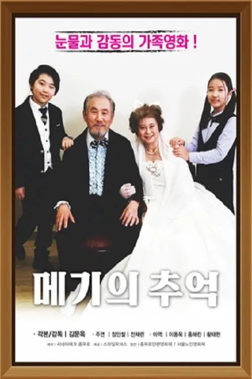 메기의 추억 poster