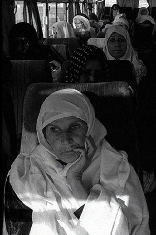 Visiting Hours poster