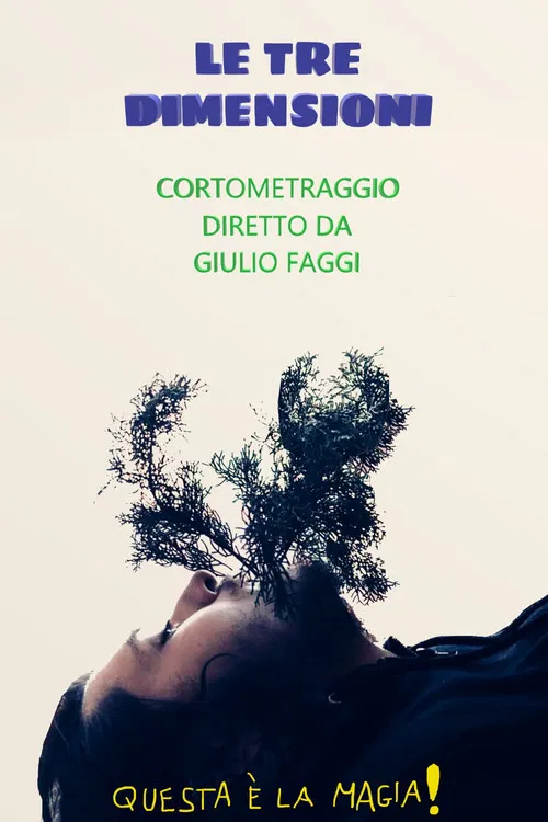 Le tre dimensioni poster