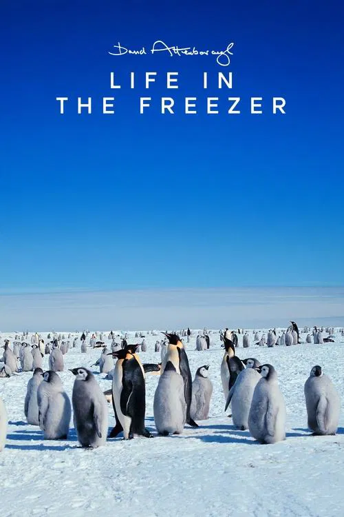 Life in the Freezer poster