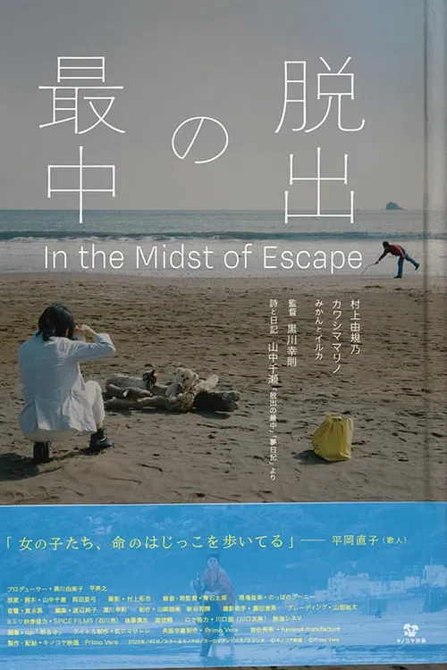 脱出の最中 poster