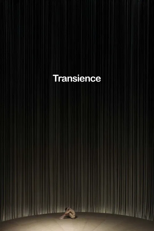 Transience poster