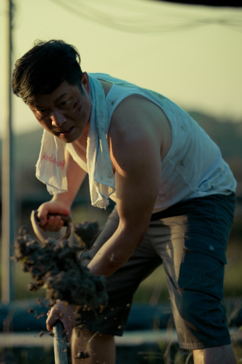 Taste Of Tomato poster