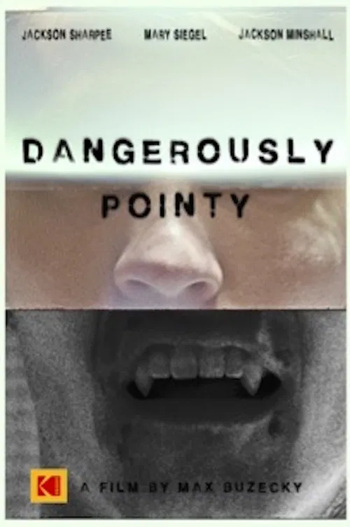 Dangerously Pointy poster