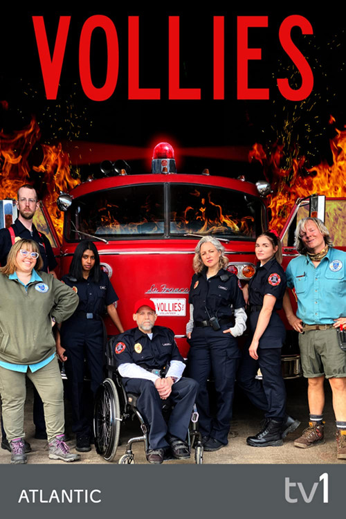 Vollies poster