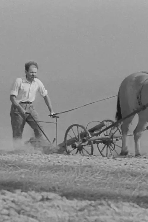 The Independent Peasant poster