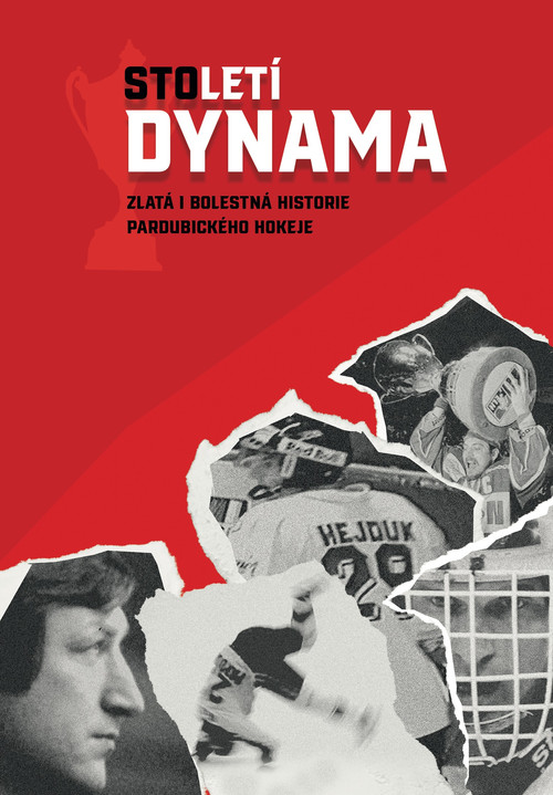 Století Dynama poster