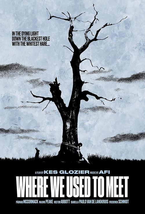 Where We Used to Meet poster