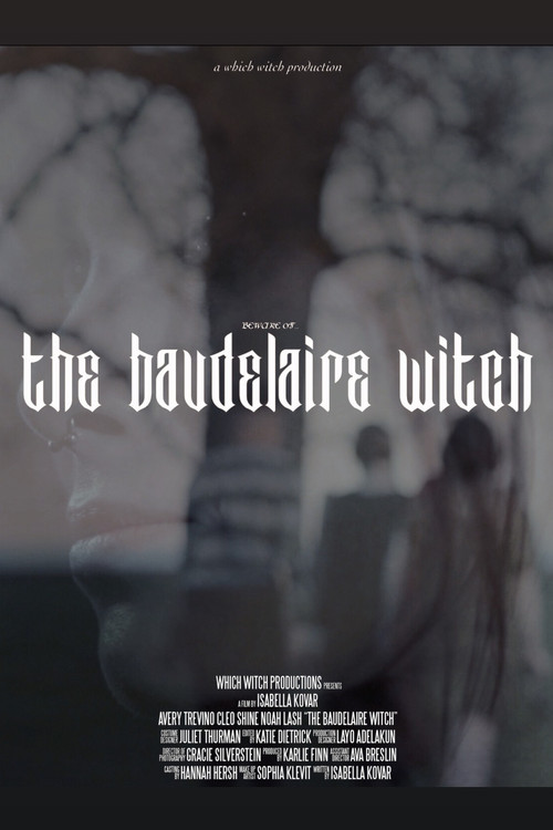 The Baudelaire Witch poster