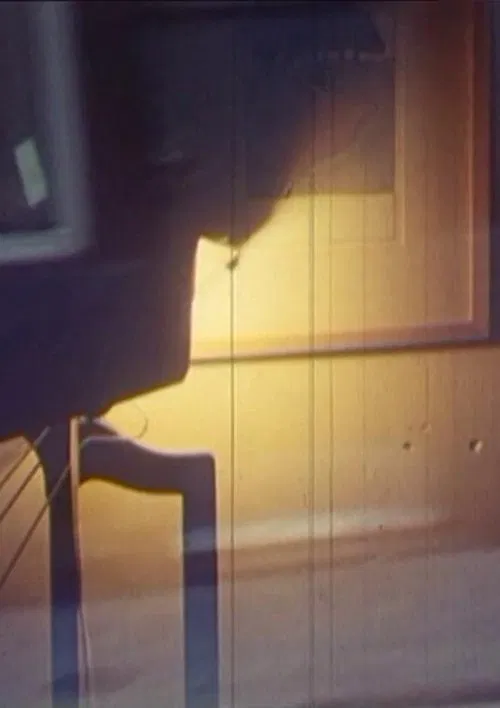 Thaler’s, Meier’s, Sadkowsky’s Life in the Evening poster