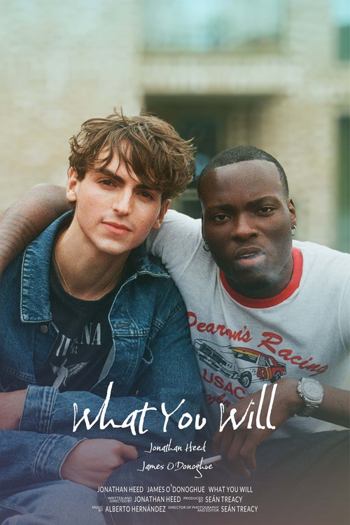 What You Will poster