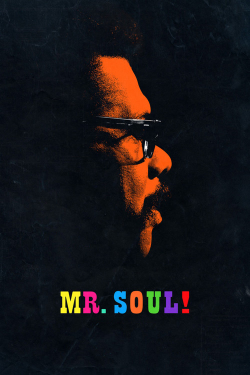 Mr. SOUL! poster