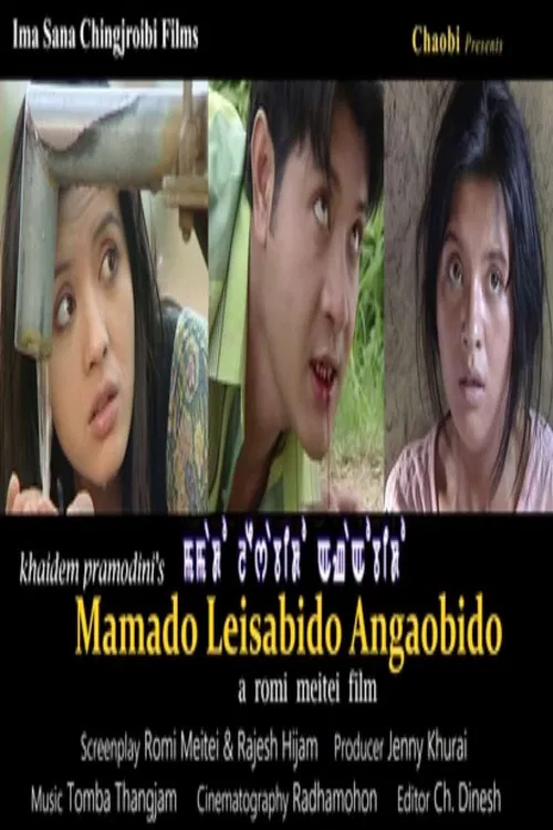 The Mother The Maiden The Mad Lady poster