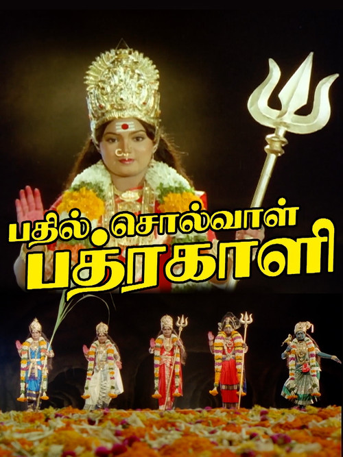 Bhadil Solval Bhadrakali poster