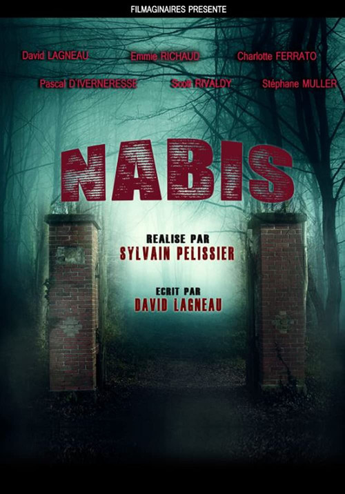 Nabis poster