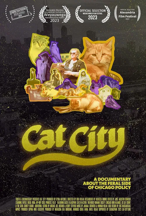 Cat City poster