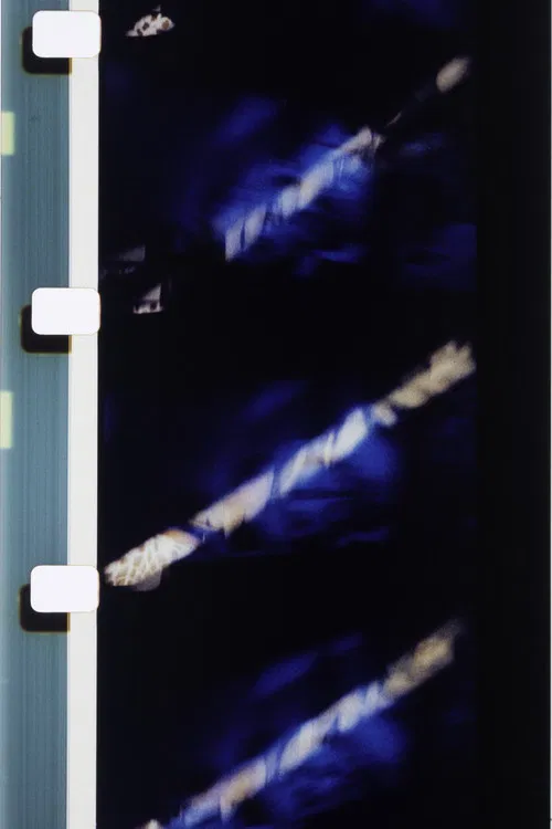 Couleurs délicieuses sur fond bleu poster