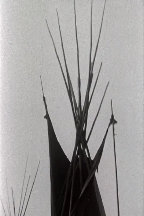 A Pinto for the Prince poster