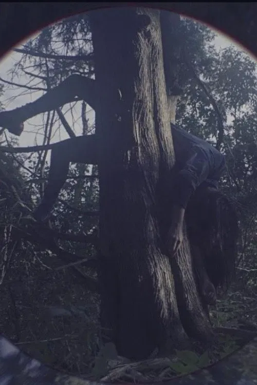 Sum of the Unknown poster