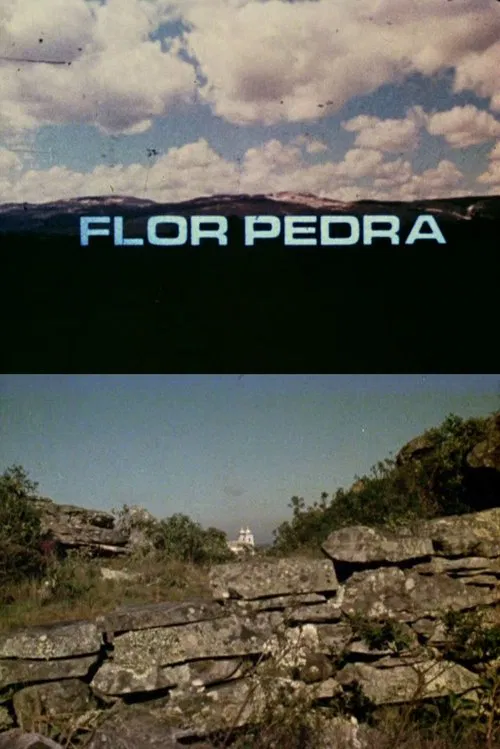 Flor Pedra poster