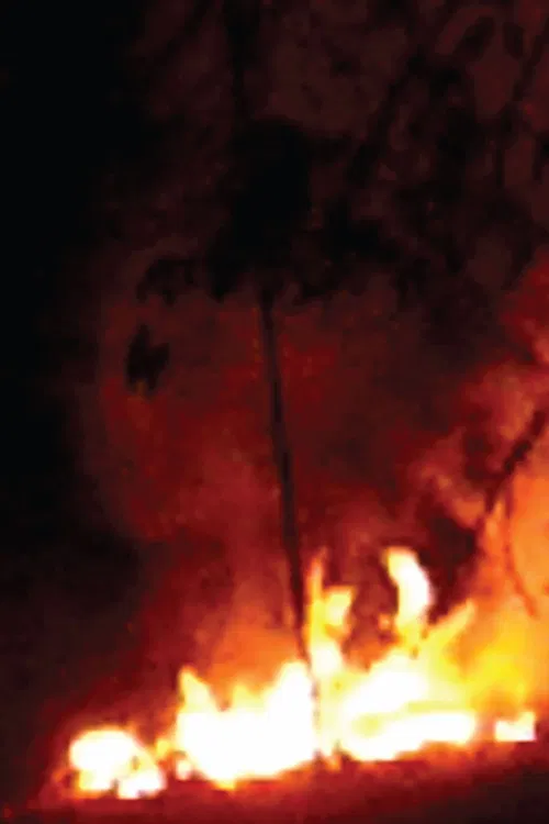 Every Flame Tree is a Burning Island poster