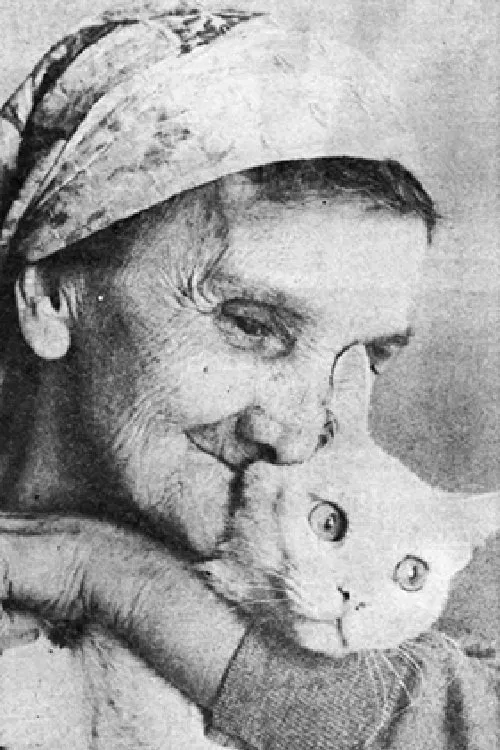 Jovanka Kotlajić profile