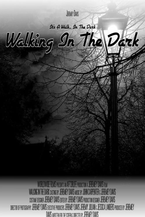Walking In The Dark poster