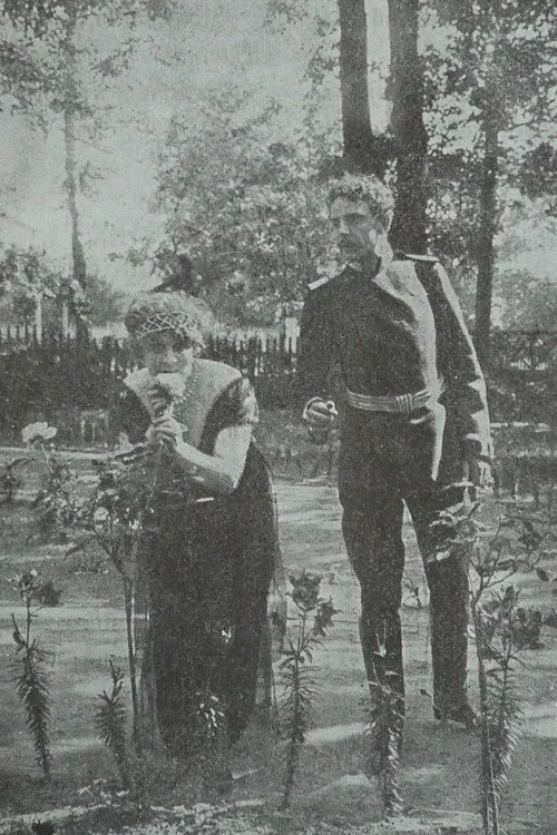 In The Nets of German Espionage poster