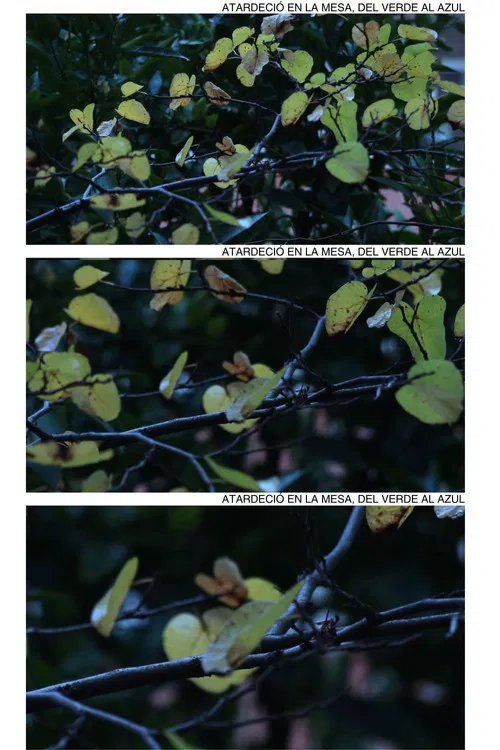 Atardeció en la mesa, del verde al azul poster