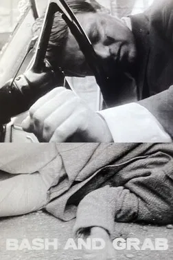 Bash and Grab poster