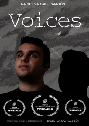 Voices poster