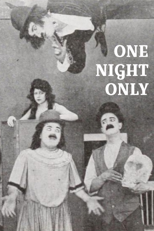 One Night Only poster
