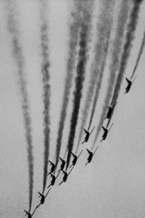 Where We Live poster