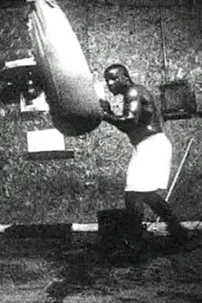 Meditations on Revolution Part IV: Greenville, MS poster