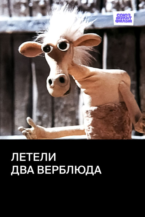 Two Camels Were Flying poster