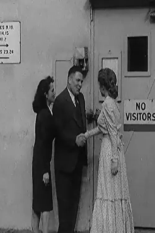 A Finnish Filmmaker in Hollywood poster