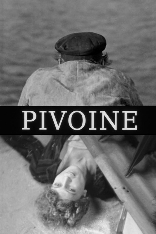 Pivoine poster