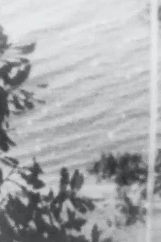 Point Chevalier Beach poster