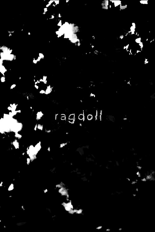 ragdoll poster