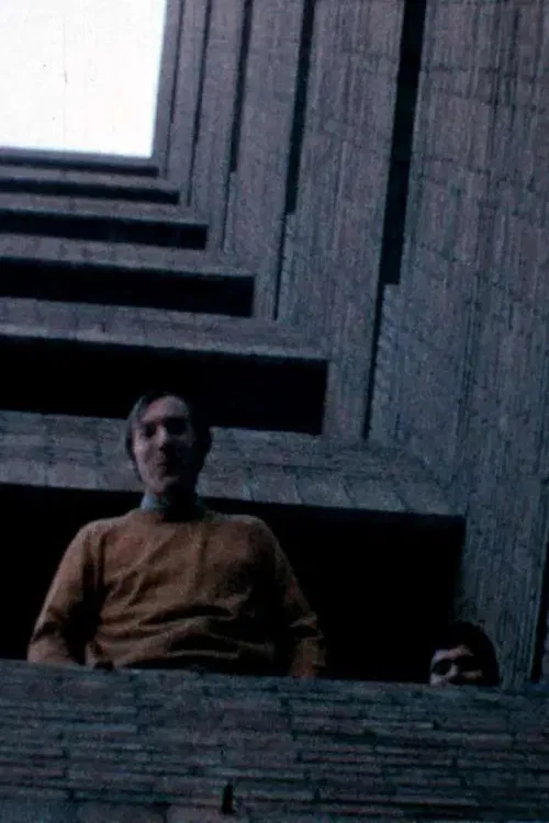 Alucinación arquitectónica poster