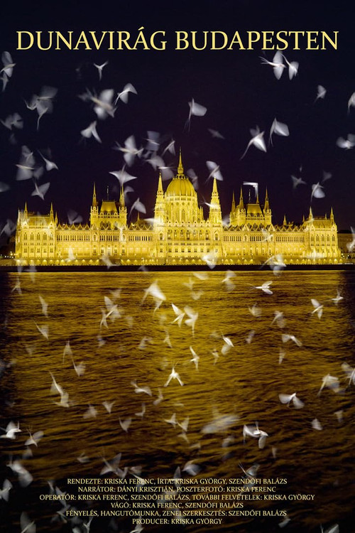 Dunavirág Budapesten poster