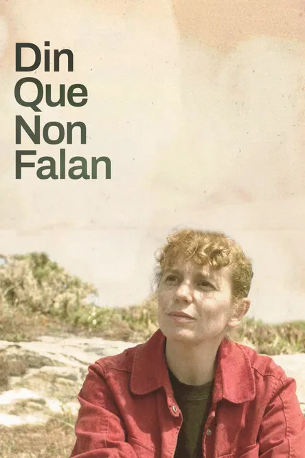 Din que non falan poster