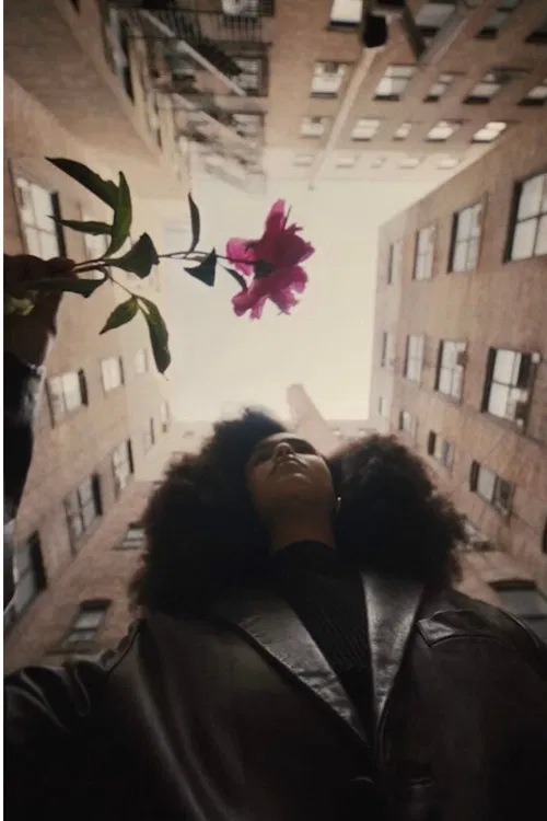 The Young Lordes Collective poster